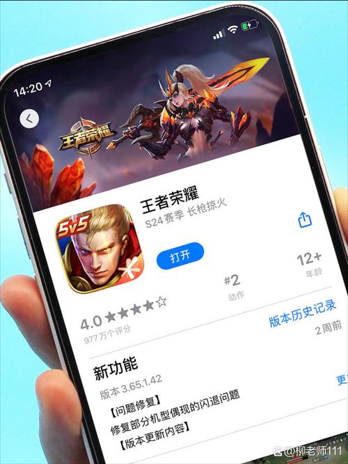 王者荣耀视野辅助器开全图