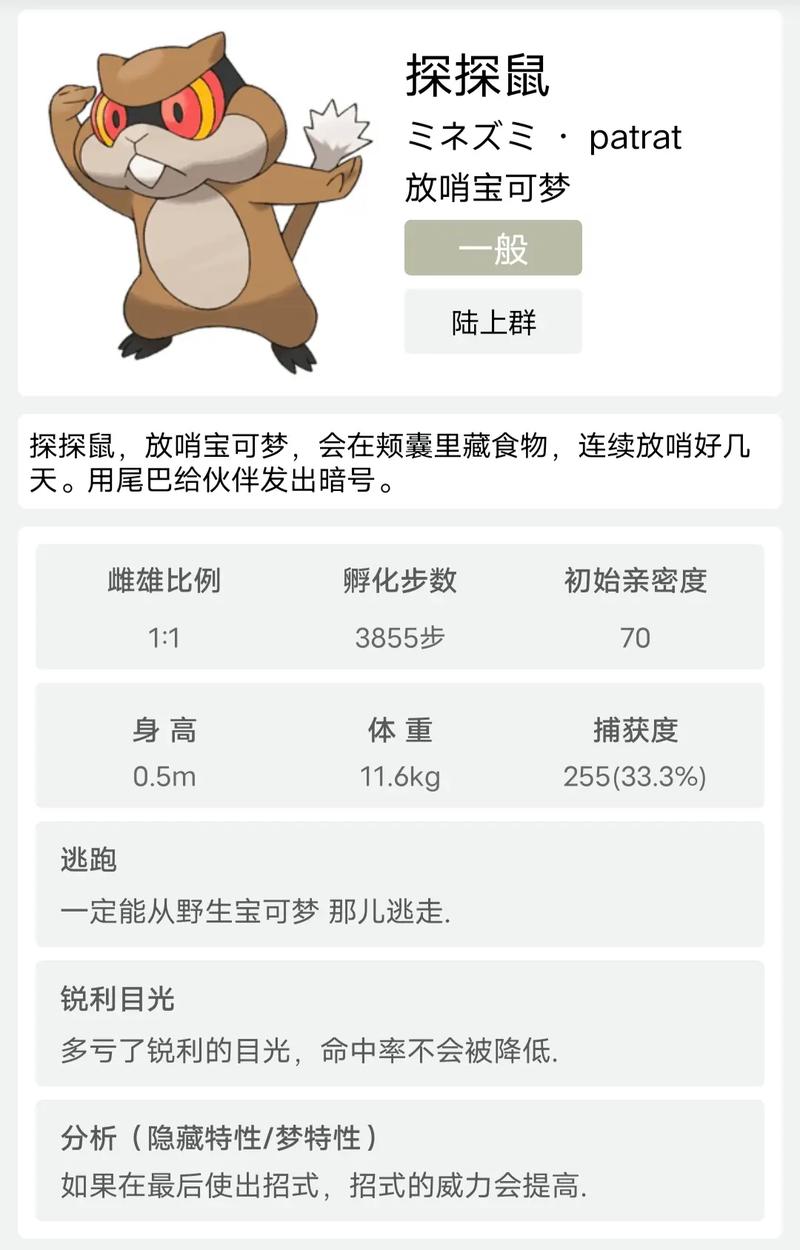 探探鼠试玩平台