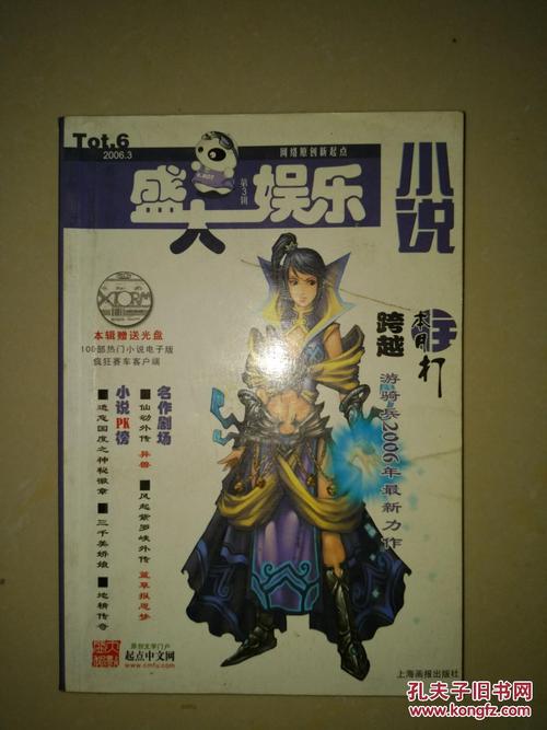 盛大小说