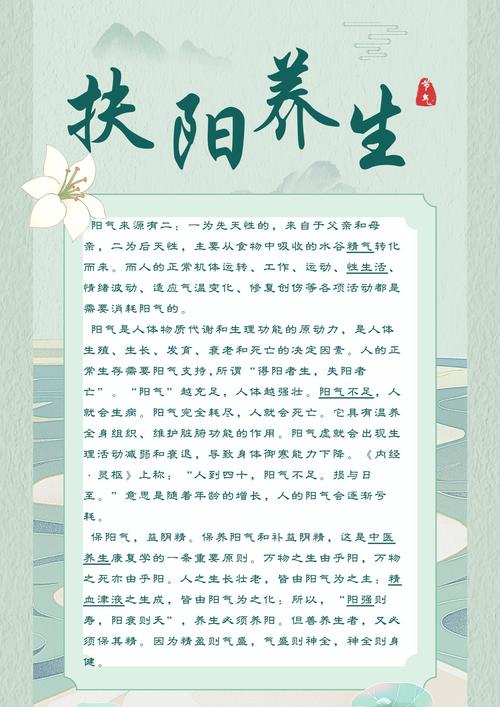 每日养生