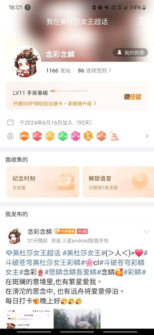 念彩正版