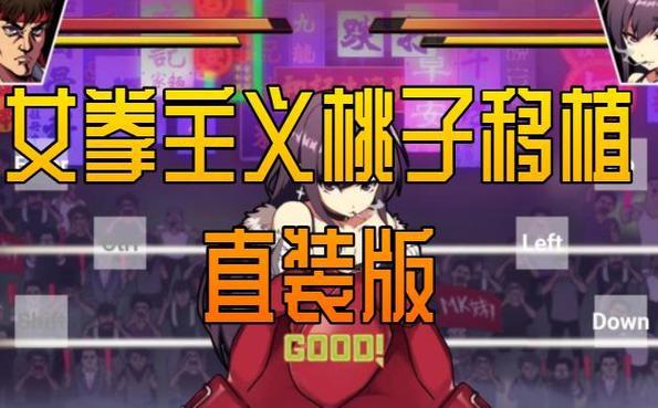 格斗少女桃子移植版