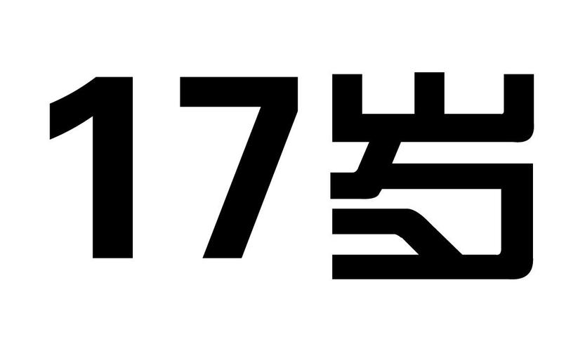 17岁安卓版