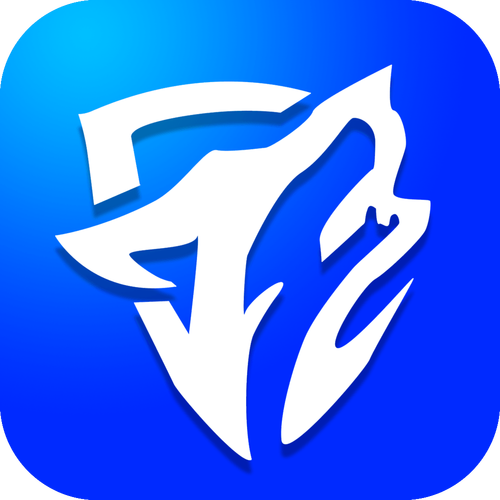 疾风加速器手机版