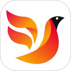 火焰鸟外挂安装福利版