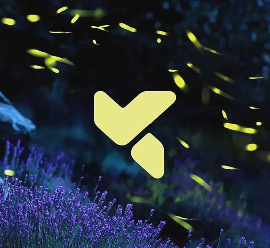 火萤视频壁纸2024最新款官网