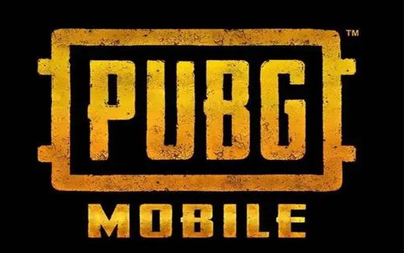 PUBG公益直装免卡密