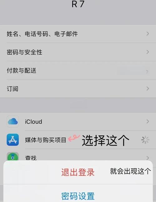 网吧模拟器怎么退出登陆账号啊苹果