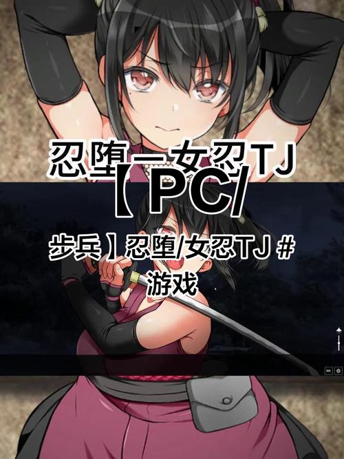 忍堕女忍汉化版最新版本