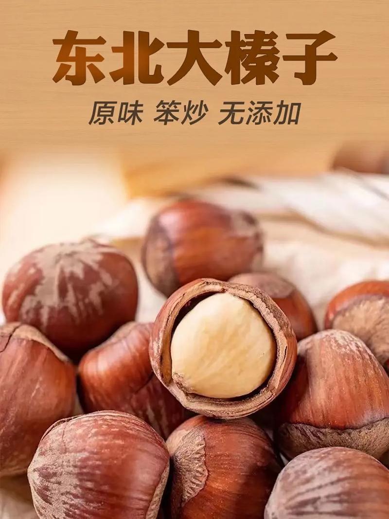 榛子资讯手机版