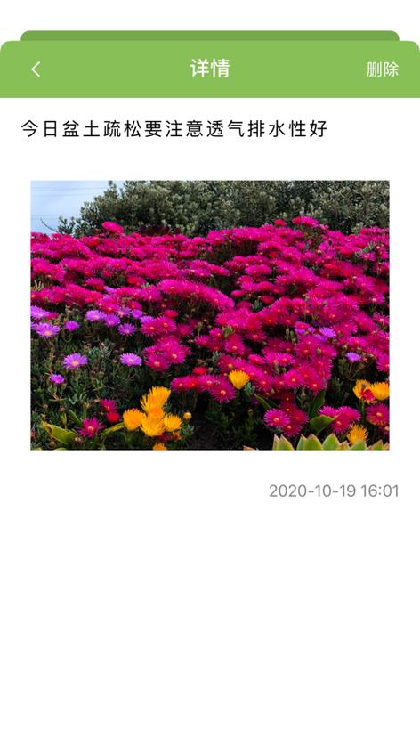 沁花养记安卓版v