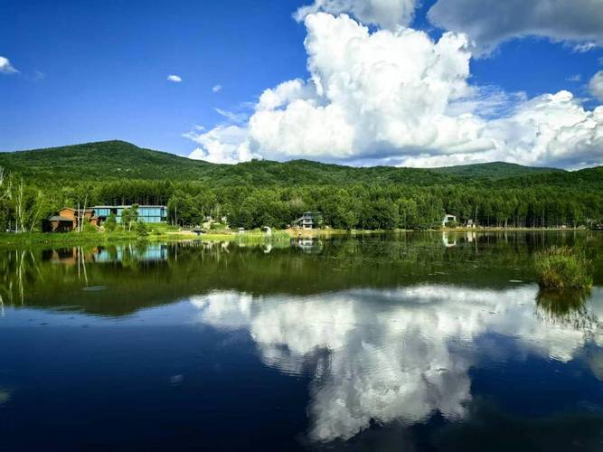 青山赚官网手机版