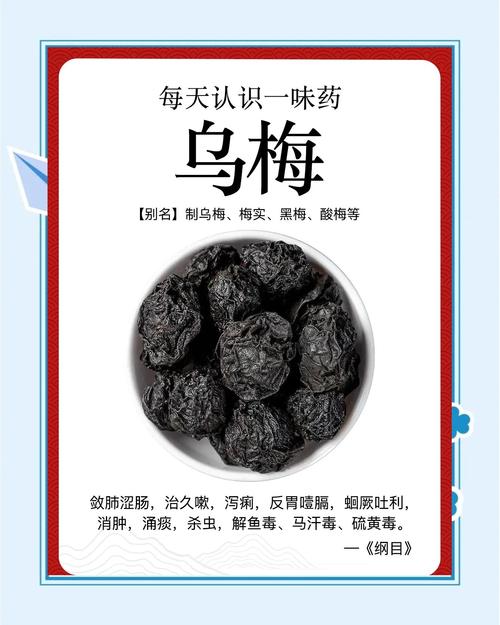 乌梅小说手机版