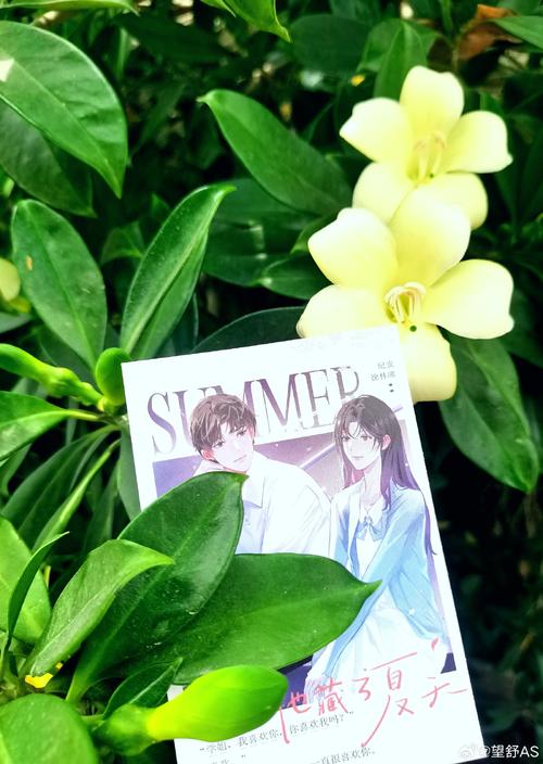 《于盛夏时心动》小说在线阅读