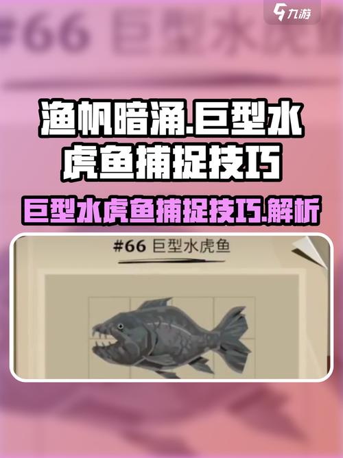 渔帆暗涌巨型水虎鱼在哪里介绍