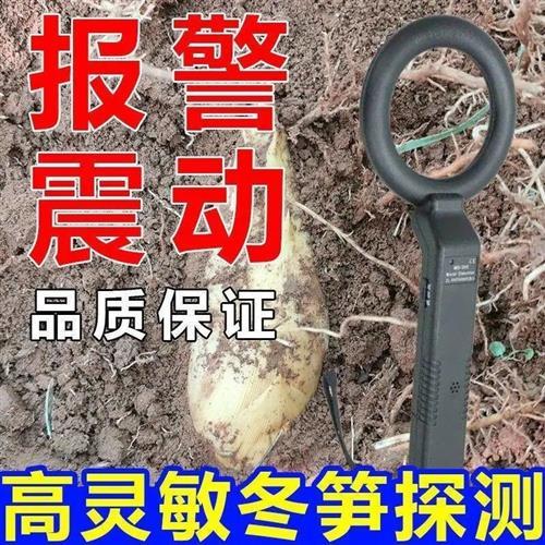 地下冬笋探测器
