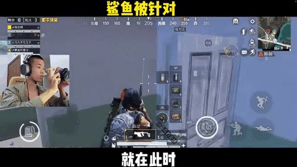 鲨鱼解说视频