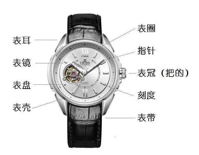表带各个部位名称图