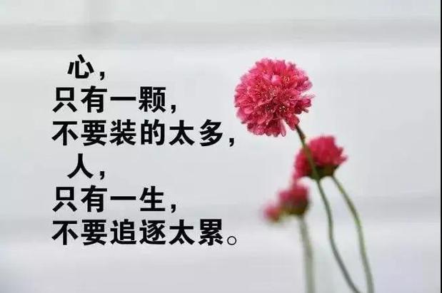 人生感悟的经典句子