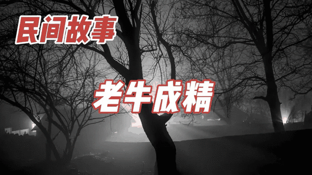 一个真实的民间故事
