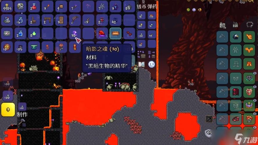 泰拉瑞亚暗影