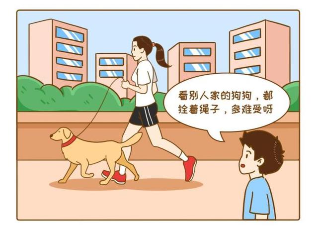 防走失绳和遛狗绳的区别