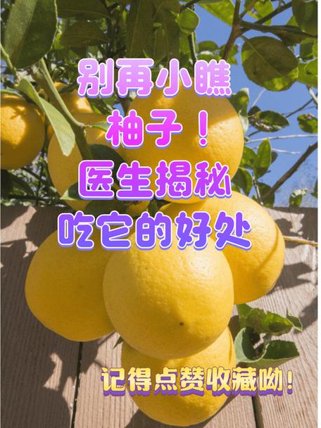 乳腺癌吃柚子好不好