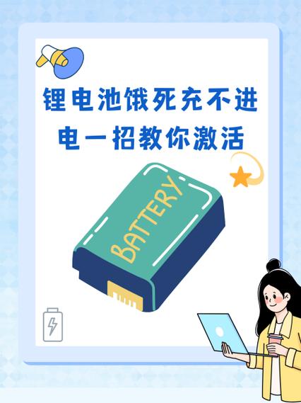 电瓶饿死充不进电一招教你激活