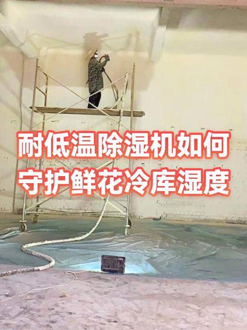 冷库除湿最好的方法