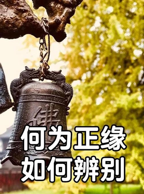 正缘是命中注定的吗