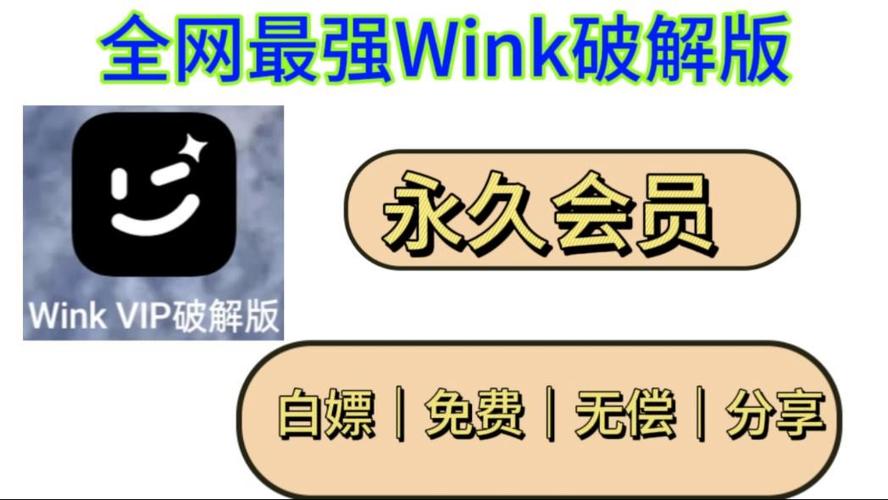 wink永久会员版下载