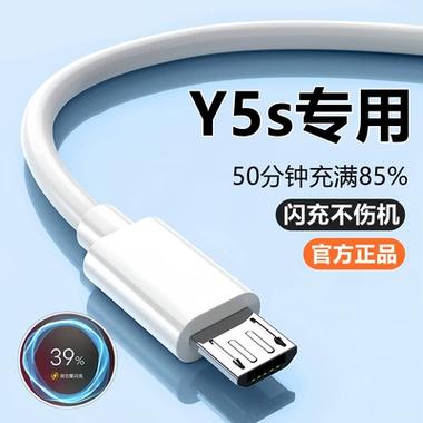 Y5S是快充还是慢充