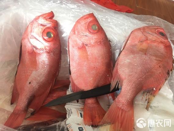 冻海鱼怎么做好吃又简单