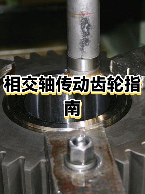 内齿轮旋向怎么区分左右