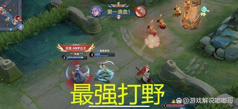 公认最强打野第一名
