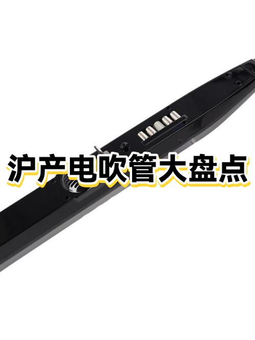 电吹管十大名牌排行榜