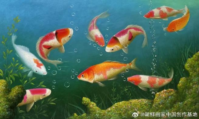 为什么鲤鱼最有灵性