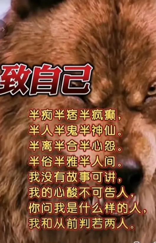 被别人说很闲经典回复