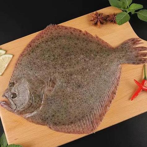 扁扁的鱼叫什么鱼