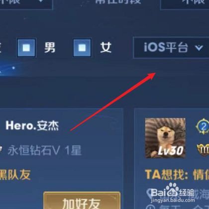 王者荣耀怎么查别人的信息