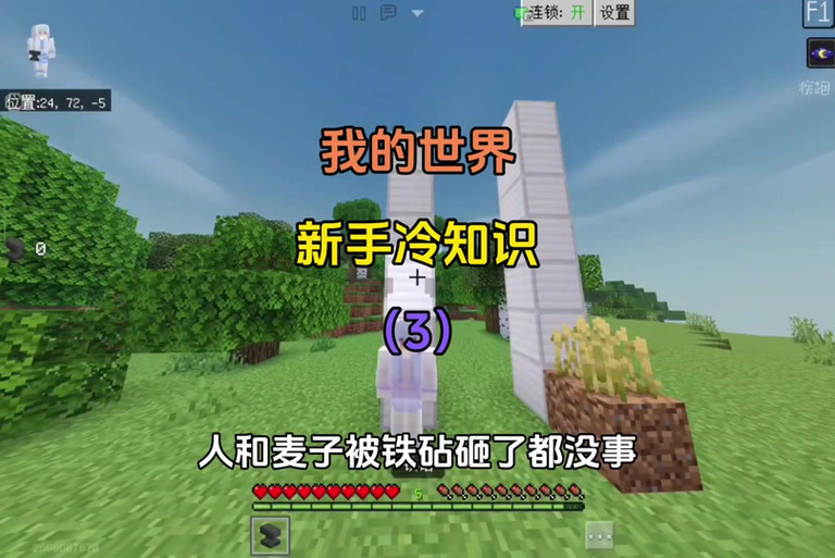 我的世界H版白金代码