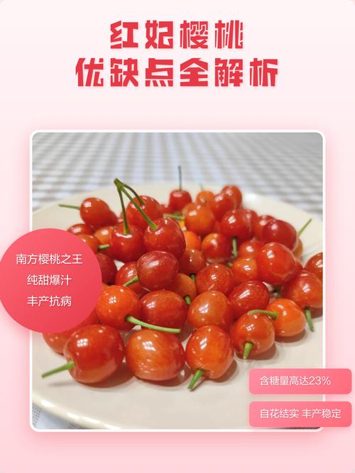 红妃樱桃的优缺点
