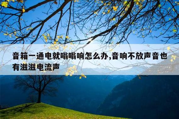 音箱通电后有嗡嗡作响