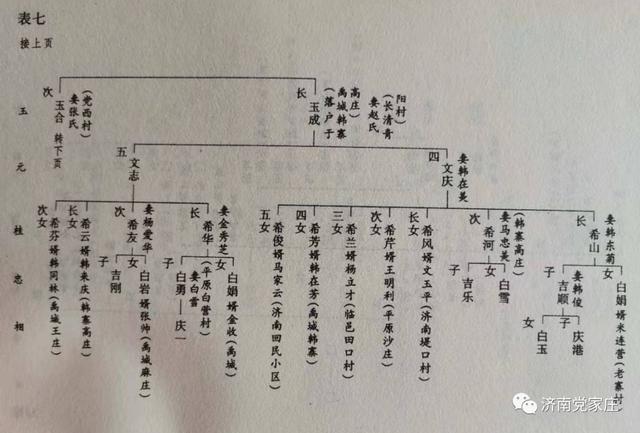 白姓是穷族还是贵族