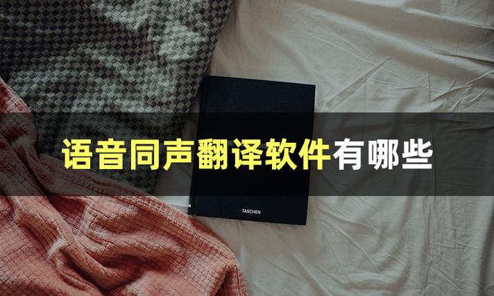 语音翻译