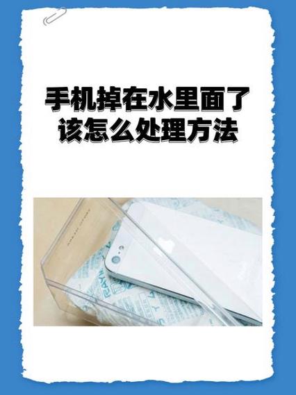 手机掉水里怎么办如何快速解决