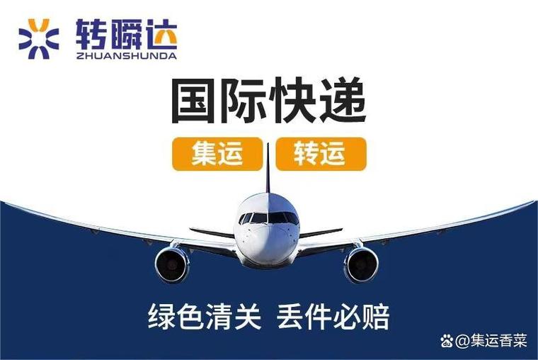 国际集运公司哪个好
