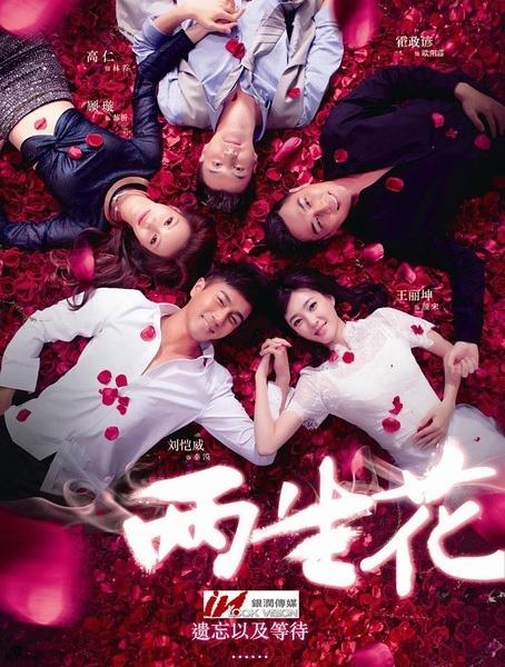 双生花全集免费观看
