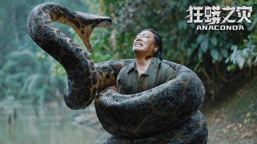 无敌巨蟒1-100集免费观看