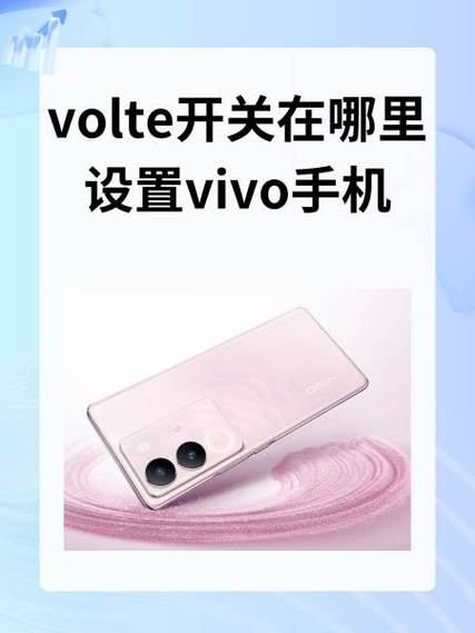 vivo手机volte开关在哪里设置